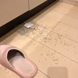 まつお