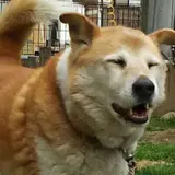 あ。
