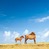 🍌せっかくグルメまにあ🍌