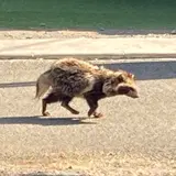 まーち