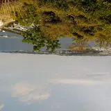 ゆゆゆ
