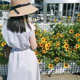 みゆき