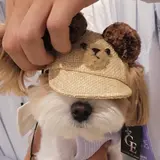 とろみ