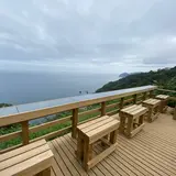 低頻度旅行