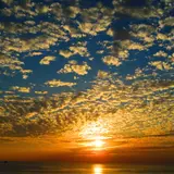 チェニカバナナ