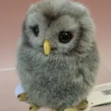 くまやんパン