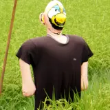 ゴールデンマタンキ