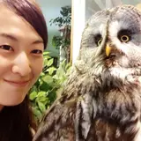 k.mizuki