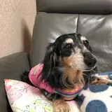 リーナ