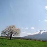 tachibana ryuuta