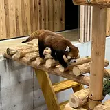 まみ