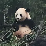 ☺️