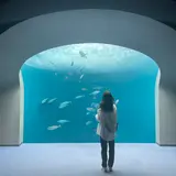 みさき