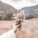 yuuridiary