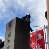 かざね