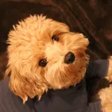 Aki