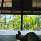 やっち