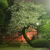 谷根千住み