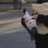 ともちゃん