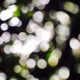 おち