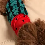 たーちゃん