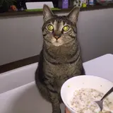taro_pero