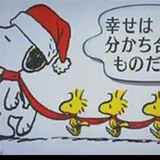 フォレストキャット