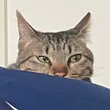 ちよこふ