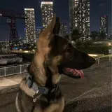 ちゃん
