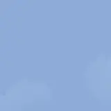 ami.ami.91