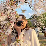 さくらもち