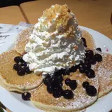 ここ