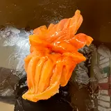 ylrs