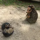 さゆっち