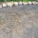 ruirui