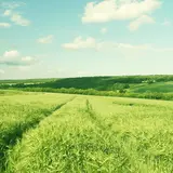 土田 哲哉