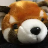 kotaro