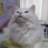 なおりん