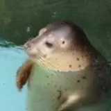 un