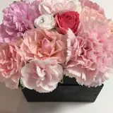 Masa
