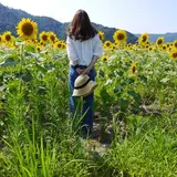 山本麻椰