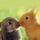 good:)*
