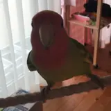 みのり