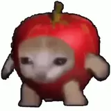 みーだよん✌️