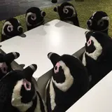 たかはし
