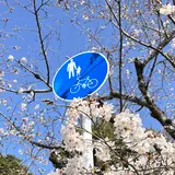 りんご