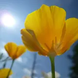 よしよし