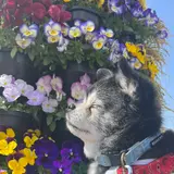 reiko♪