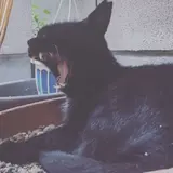 こみ