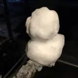 グッさん